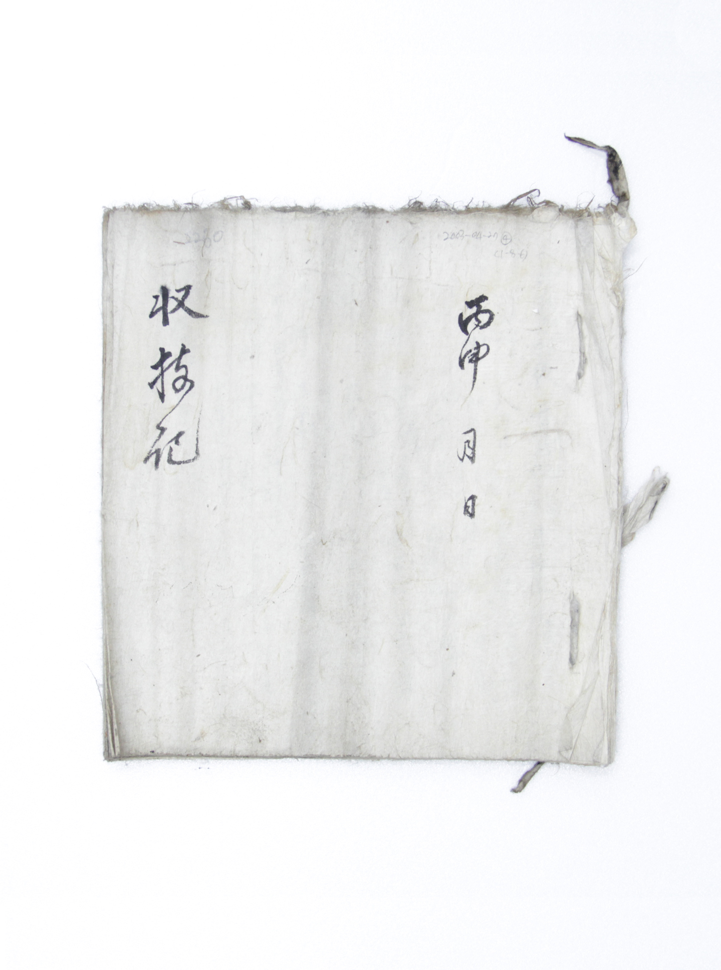 수지기 섬네일 파일