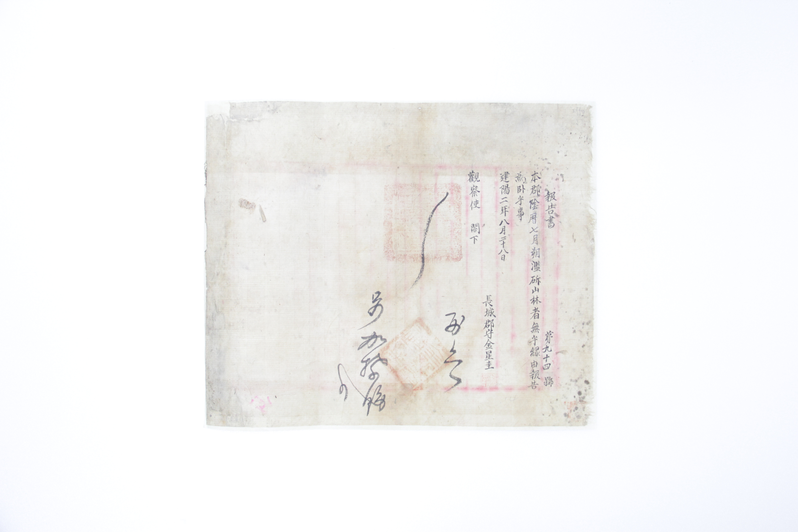 1897년 장성군수 김성규의 보고서(산림 난벌) 섬네일 파일
