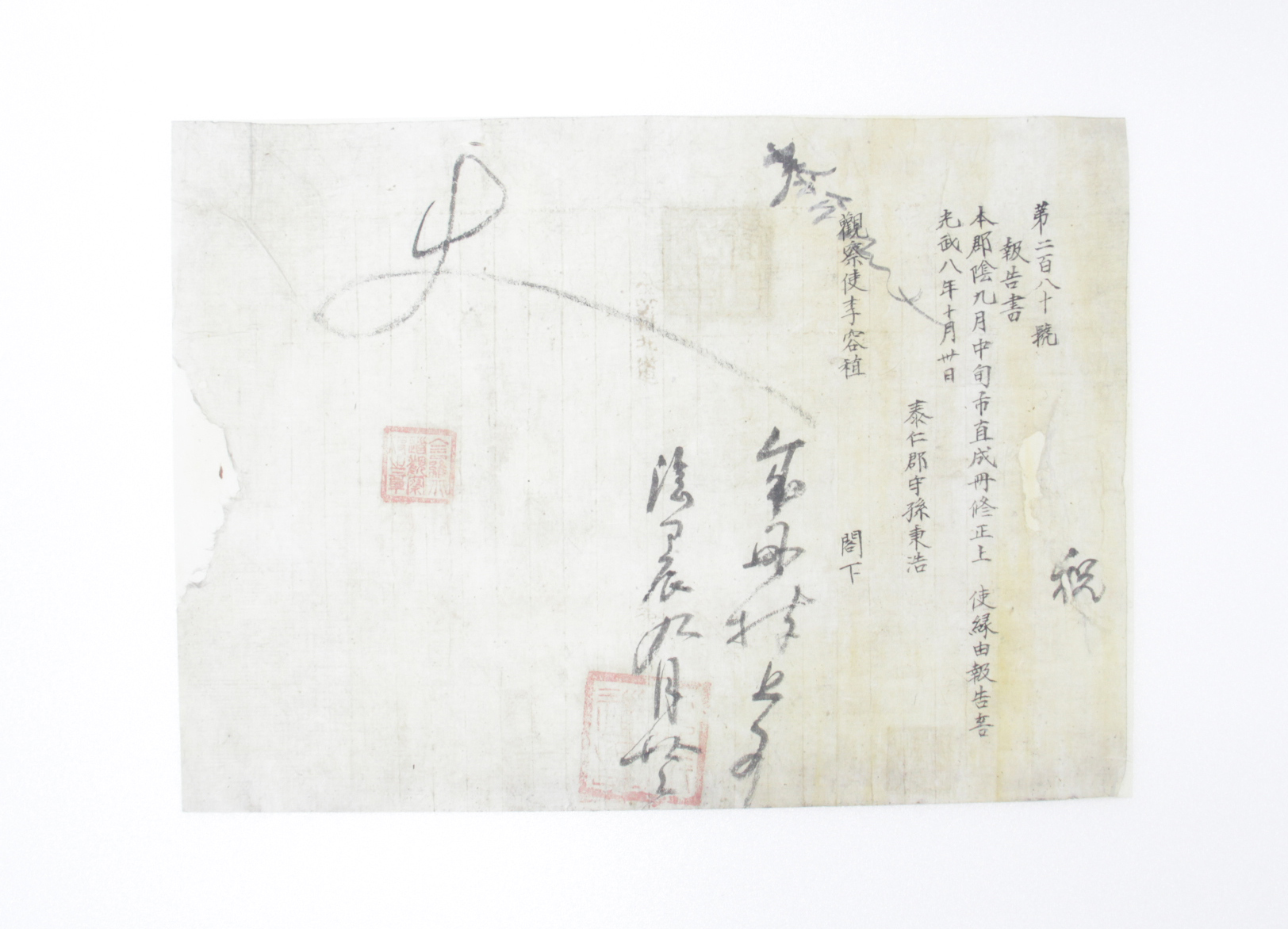 1904년 태인군수 손병호 보고서 섬네일 파일