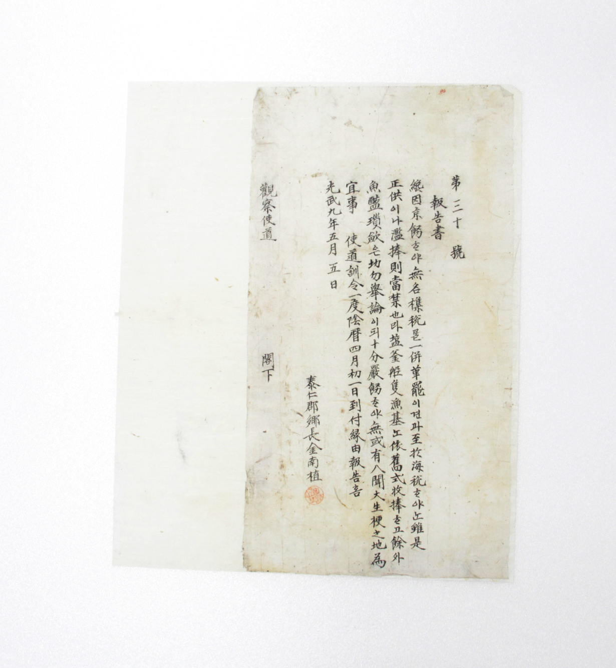 1950년 태인향장 김남식 보고서 섬네일 파일