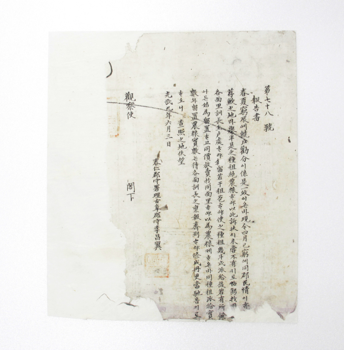 1905년 태인군수서리고부군수 이창익 보고서 섬네일 파일