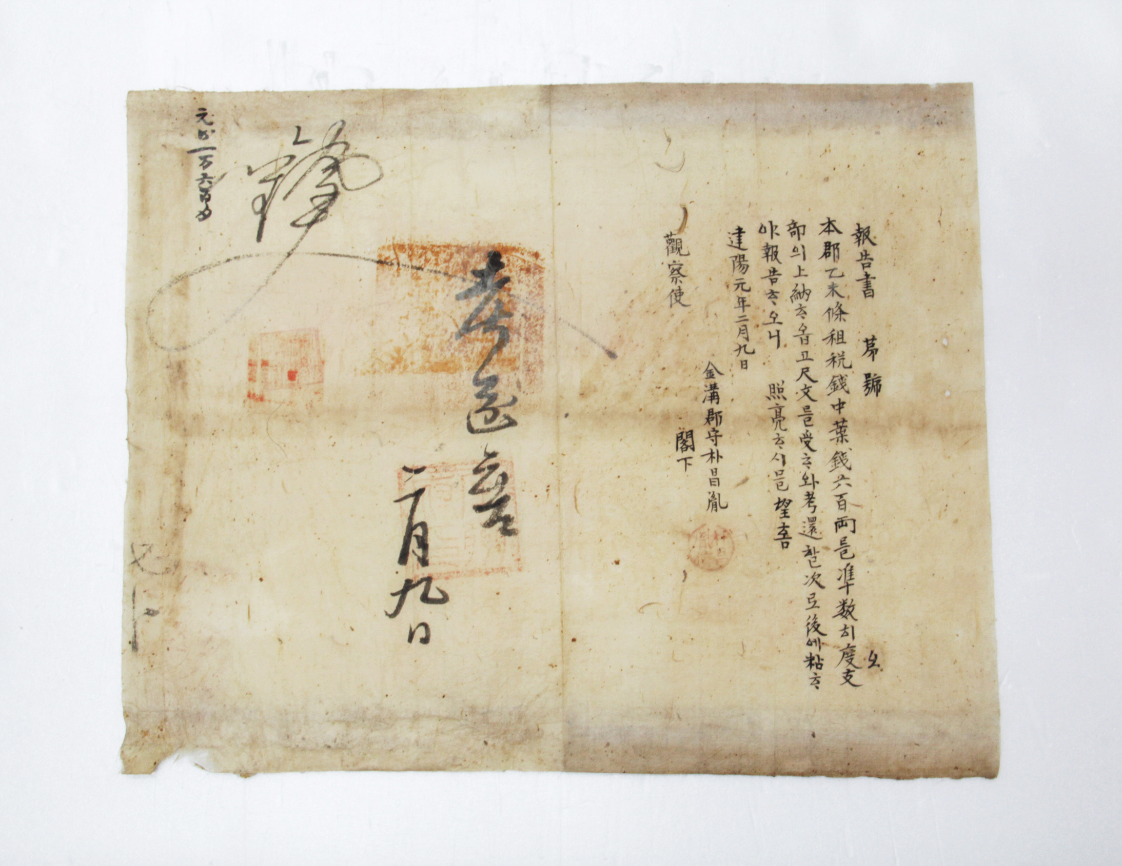 보고서 제□호 - 1896년 금구군수 박창윤(朴昌胤) 섬네일 파일