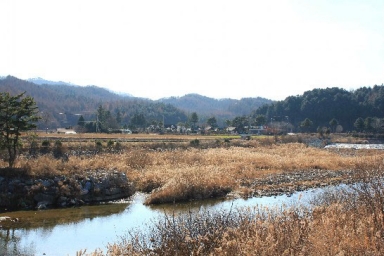 평창 사리평 동학농민군 전적지 (평창군 봉평면 원길리) 섬네일 파일