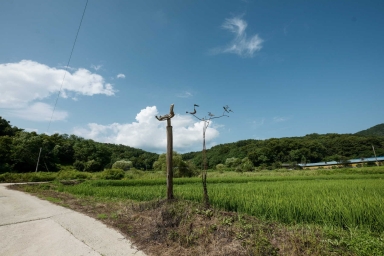 보은 북실 동학농민군 전투지 (보은군 보은읍 종곡리) 섬네일 파일
