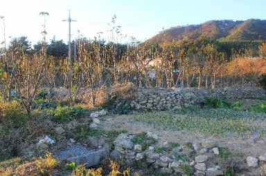 여수 화양면 동학농민군 돌무덤 터 (여수시 화양면 장수리) 섬네일 파일