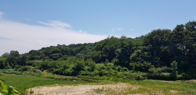 나주 함박산 동학농민군 전투지 (나주시 대호동) 섬네일 파일