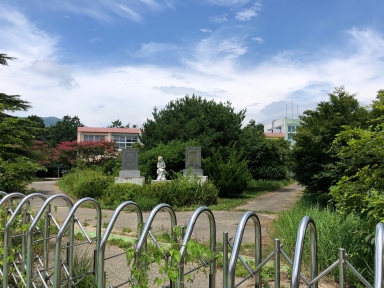 보성 웅치면 동학농민군 집결지 (보성군 웅치면 일림로) 섬네일 파일