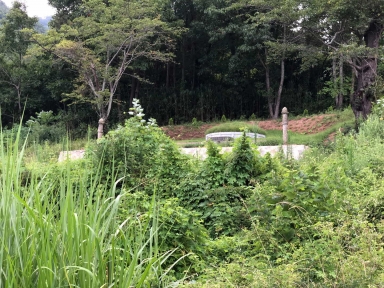 장흥 민보군 김한섭 묘 (장흥군 부산면 내안리) 섬네일 파일