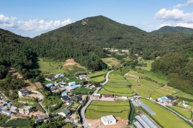 공주 남월 동학농민군 전투지 (공주시 이인면 목동리) 섬네일 파일