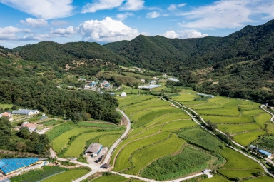 공주 오실마을 동학농민군 전투지 (공주시 오곡동) 섬네일 파일