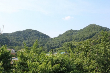 공주 효포웅치 동학농민군 전투지 (공주시 신기동 효포리) 섬네일 파일