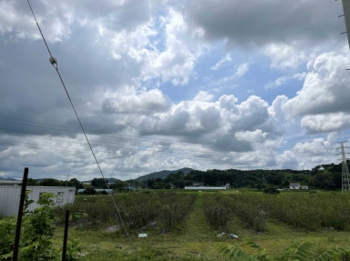 당진 동학농민군 집결지 (당진시 당진읍 운산면) 섬네일 파일