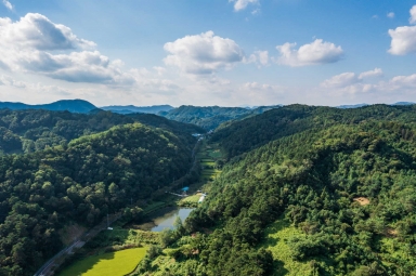 금산 소라니재 김개남군 전투지 (금산군 금성면 상가리) 섬네일 파일