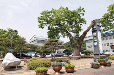 진안관아 동학농민군 점령지터 섬네일 파일